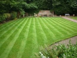 Freshly striped green lawn